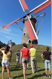 Molen-Kunstparel-15a